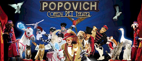 Popovich Comedy Pet Theater Image