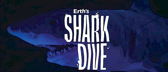 Erth's Shark Dive Image