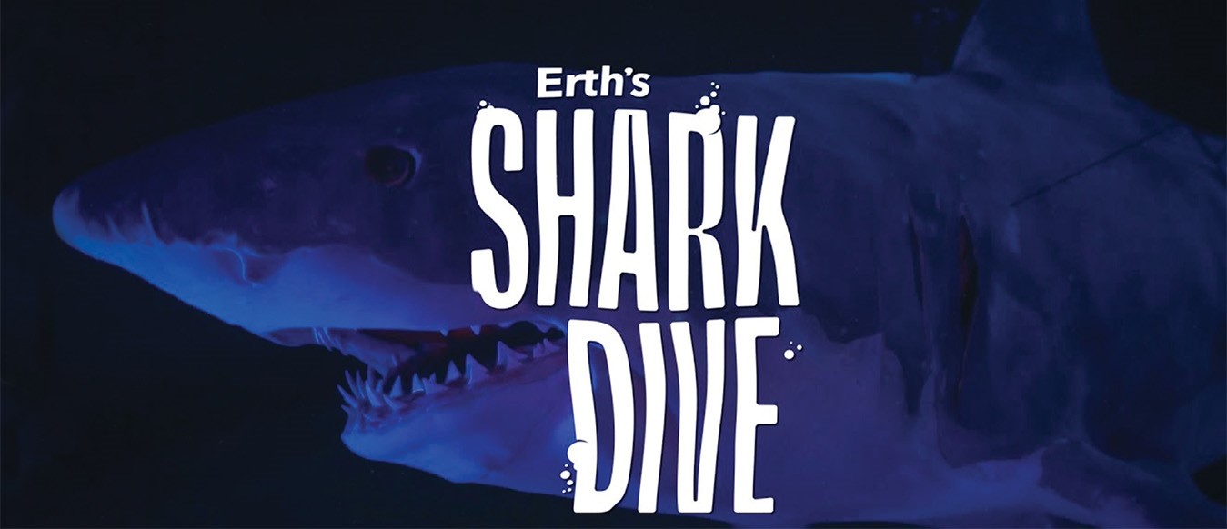 Erth's Shark Dive Header